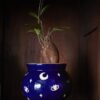 Witch's Cauldron Pot - Image 3