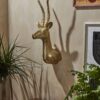Antelope Head - Image 3