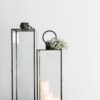 Bentwood Lantern, 2 Sizes - Image 3