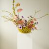 Banana Bowl - Image 3