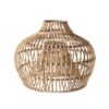 Gene Light Shade