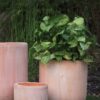 Lerato Pot, 3 Sizes - Image 3