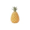 Pineapple Canister