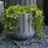 Kaleidoscope Planter, 2 Sizes - Image 4