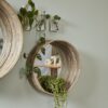 Hermosa Mirror, 2 Sizes - Image 4