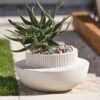 Andromeda Pot - Image 2