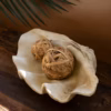 Resin Clam Shell Bowl - Image 3