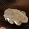 Resin Clam Shell Bowl