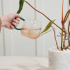 Alexis Watering Can - Image 3
