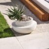 Andromeda Pot - Image 3