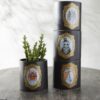 Dearly Departed Pot, 4 Styles - Image 3
