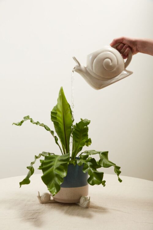 Slowpoke Watering Can - Image 2
